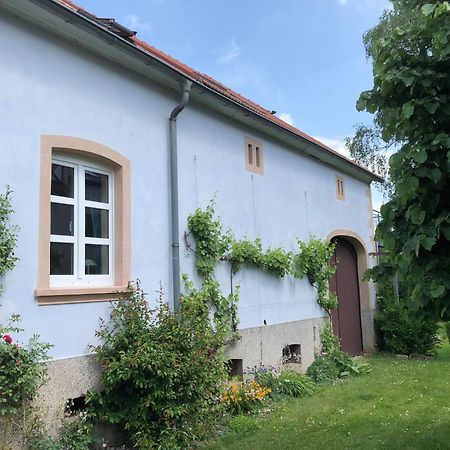 Ferienwohnung Maurer Hasborn-Dautweiler ภายนอก รูปภาพ
