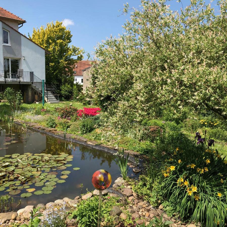 Ferienwohnung Maurer Hasborn-Dautweiler ภายนอก รูปภาพ