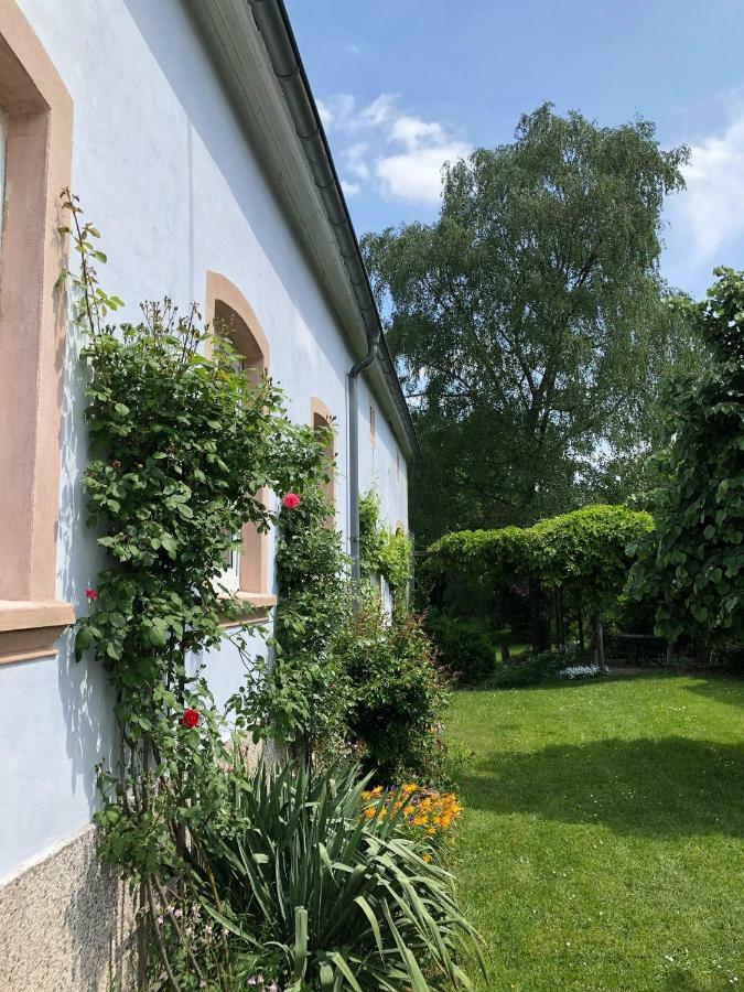 Ferienwohnung Maurer Hasborn-Dautweiler ภายนอก รูปภาพ