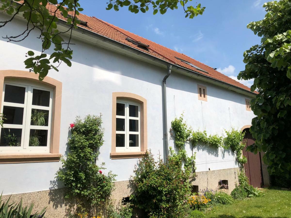 Ferienwohnung Maurer Hasborn-Dautweiler ภายนอก รูปภาพ