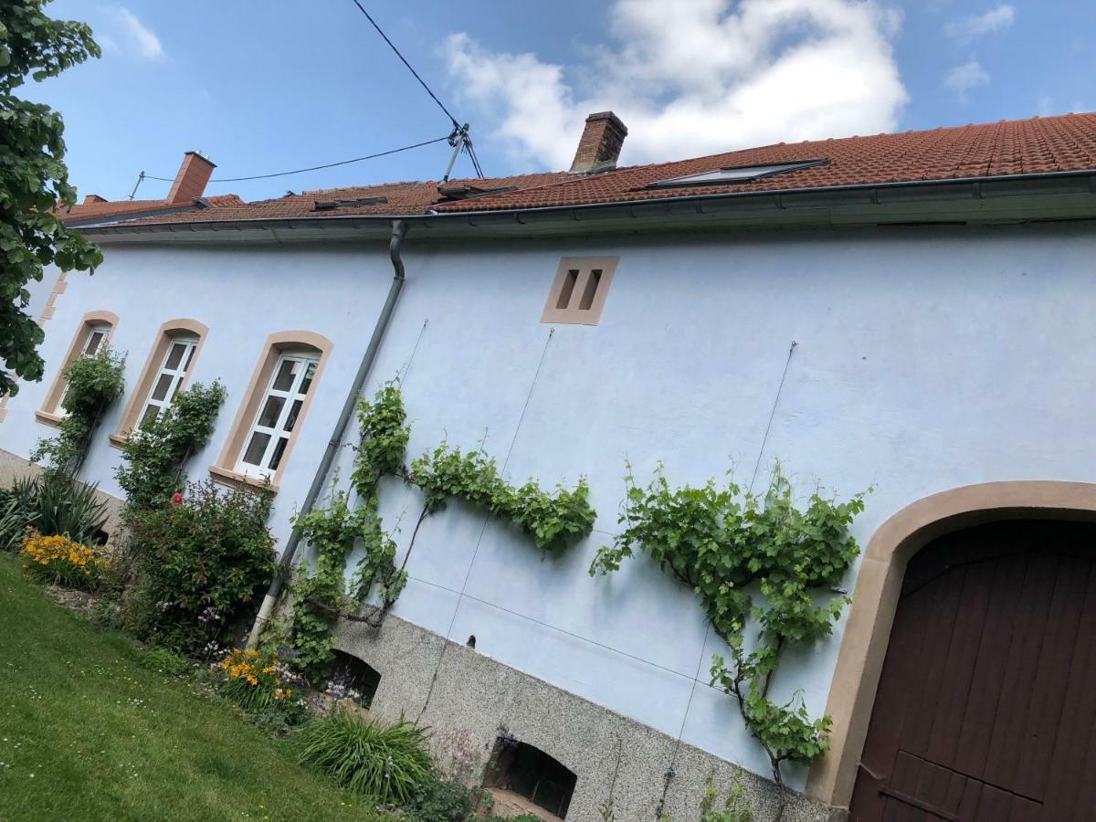 Ferienwohnung Maurer Hasborn-Dautweiler ภายนอก รูปภาพ